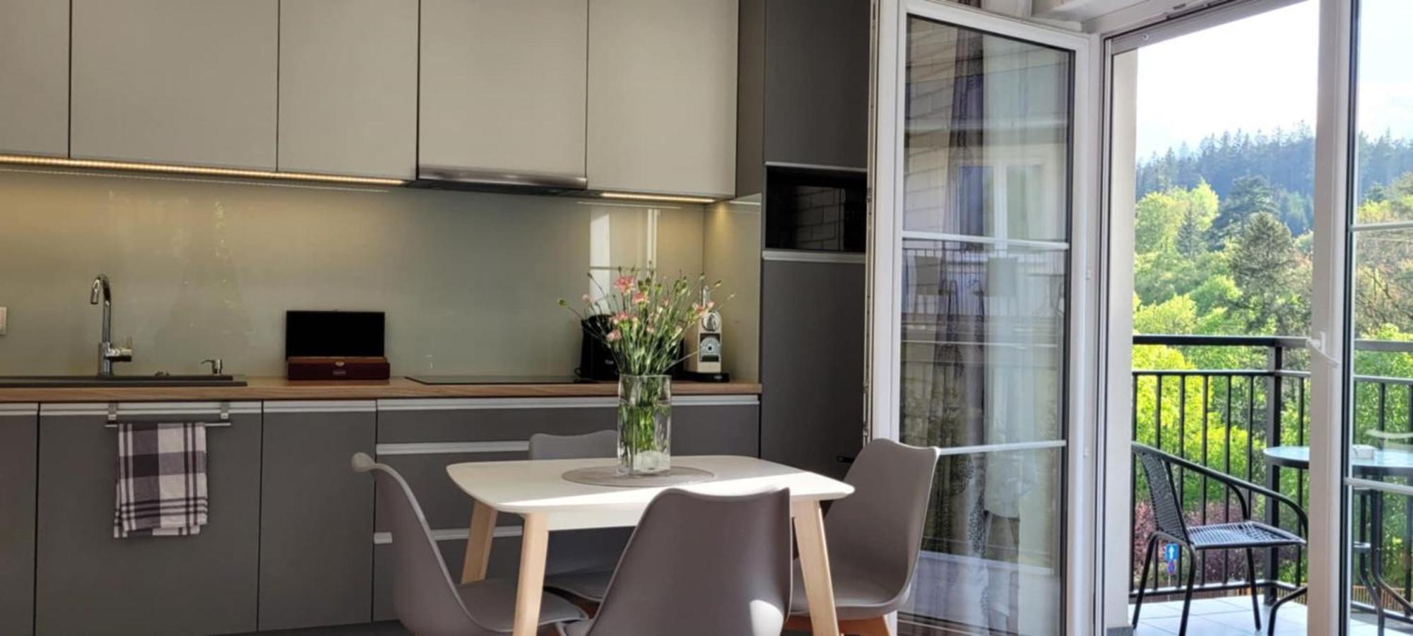 Apartament Juzo Villa Montain View Szklarska Poręba Kültér fotó